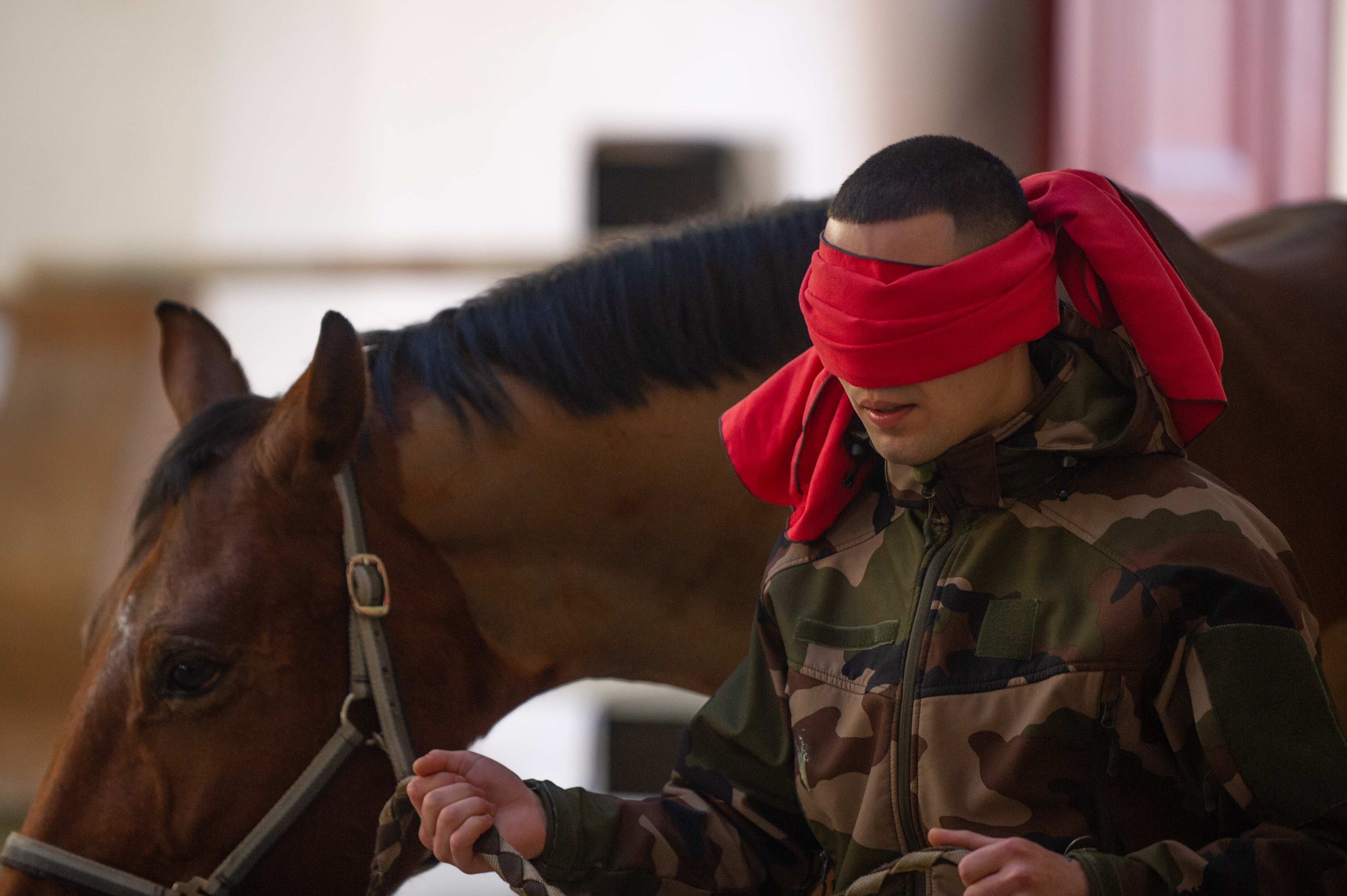 20220209_Stage « Equi-aguerrissement »