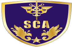SCA.png