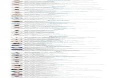 delegation_rio.jpg