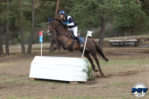 19n40_0512.jpg