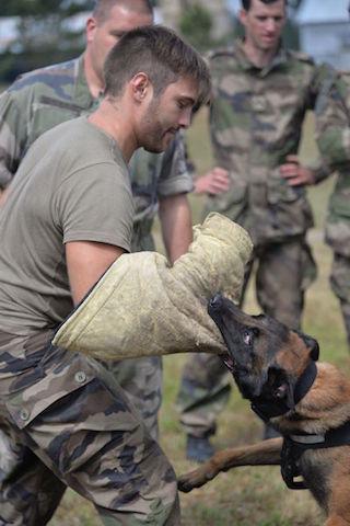 2016tefms05-31-0037.jpg