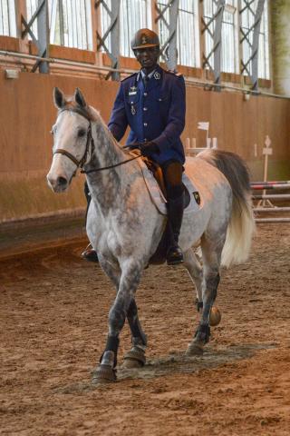 20170204_eme_concours_cso_034.jpg