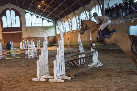 20170205_eme_concours_cso_013.jpg