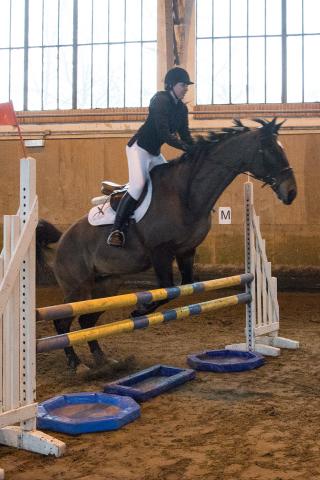 20170205_eme_concours_cso_630.jpg