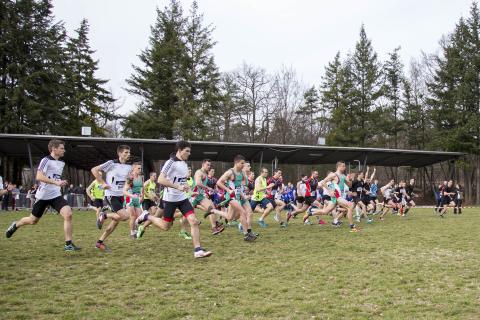 20170303_tsged_cross078.jpg