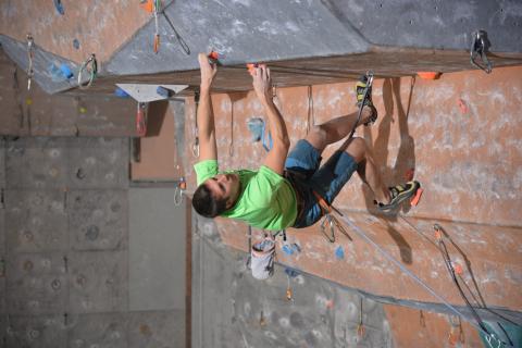 2017temhm11_16_2750.jpg
