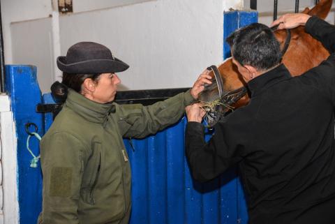 2019_cnsd_171_ph_001_023.jpg