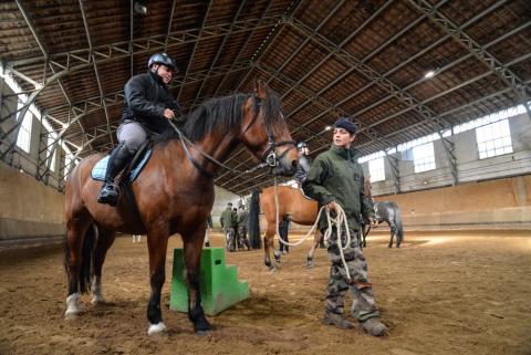 2019_cnsd_171_ph_001_038.jpg