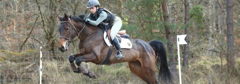 Concours complet d’équitation