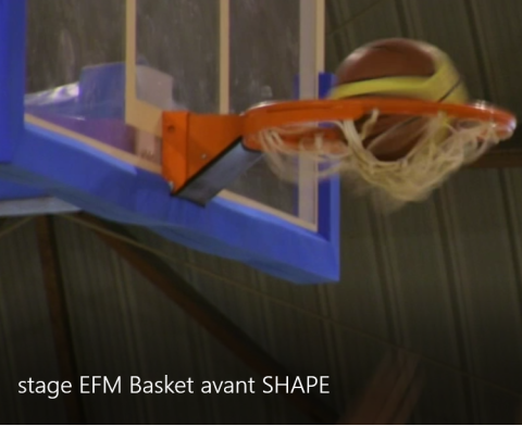 basket.png