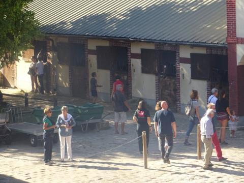 dsc01880.jpg