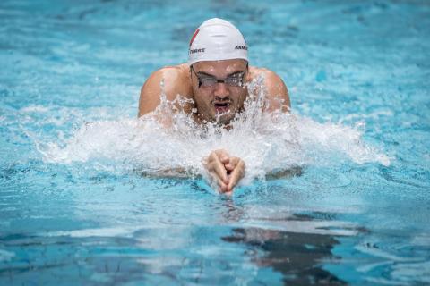manaudou.jpg