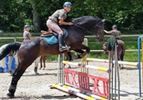 saut.png